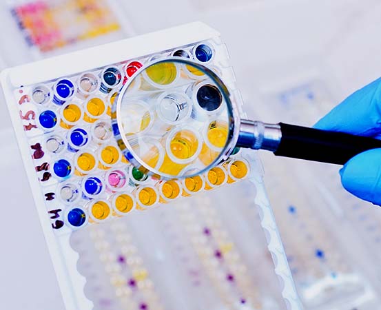 Cas9 ELISA Assay